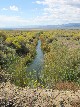 Irrigation Beyond the Hydroelectric Plant - Matthew 