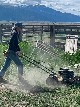 Volunteer tending to the Everson Ranch - Sabine Borchers