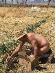 World Naked Gardening Day 2022 - Sabine Borchers